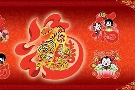 属虎|属虎的年份有哪几年 属虎的年份对照表